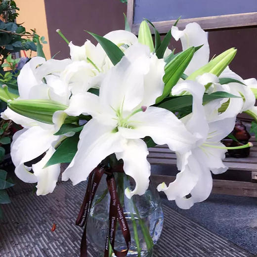 呼啸鲜花团 | 双头香水百合 3枝/束 插花期5-7天 商品图1