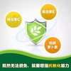 纽崔莱小麦胚芽油营养胶囊（维生素E）/每粒18毫克VE/每日1粒/保质期36个月 商品缩略图7