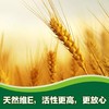 纽崔莱小麦胚芽油营养胶囊（维生素E）/每粒18毫克VE/每日1粒/保质期36个月 商品缩略图5