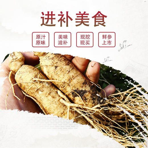 靠山庄东北长白山带土新鲜人参4-5支半斤装250g 商品图2