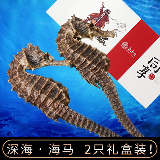 靠山庄海马干一对10克 商品图1