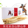 靠山庄大支白参100克 商品缩略图1