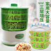 豆芽机家用全自动大容量发豆牙机生黄豆绿豆芽盆芽罐 商品缩略图1