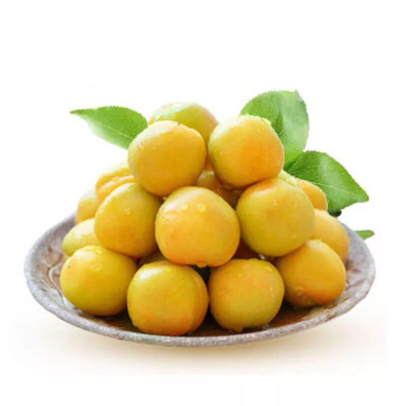 新疆轮台 现摘小白杏4斤包邮