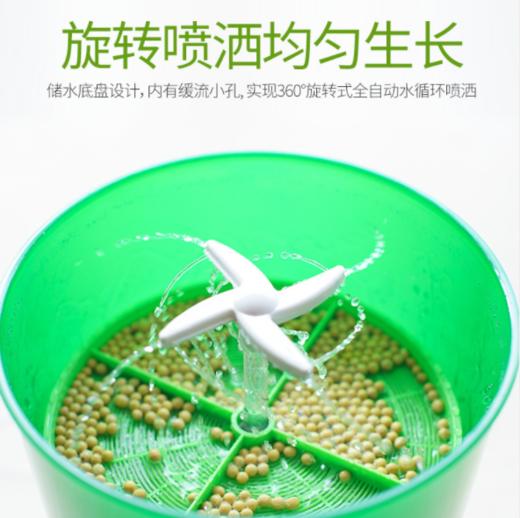 豆芽机家用全自动大容量发豆牙机生黄豆绿豆芽盆芽罐 商品图7