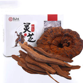 靠山庄长白山紫灵芝250克