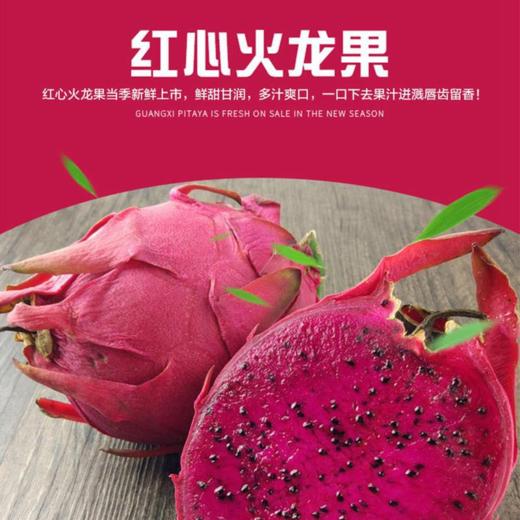火龙果 商品图0