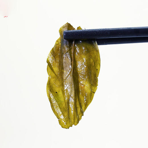 靠山庄长白山丁香茶红茶100克 商品图4