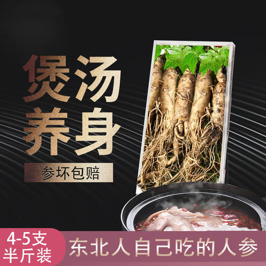 靠山庄东北长白山带土新鲜人参4-5支半斤装250g 商品图1