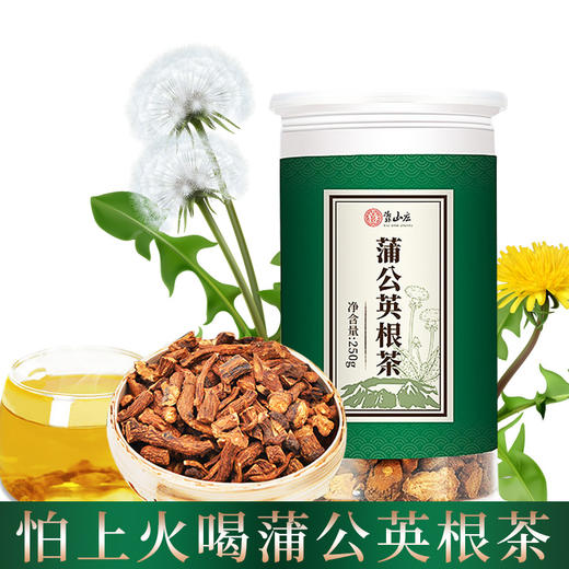 靠山庄蒲公英根茶500克 商品图1