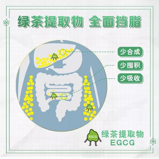 纽崔莱纤脂乐/临床实验证明90天饮食控制加300mgGSP可平均减重13.9kg 商品图12