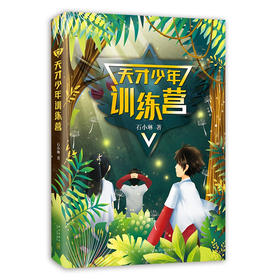 天才少年训练营 爱心树文学馆 石小琳著 新星出版社