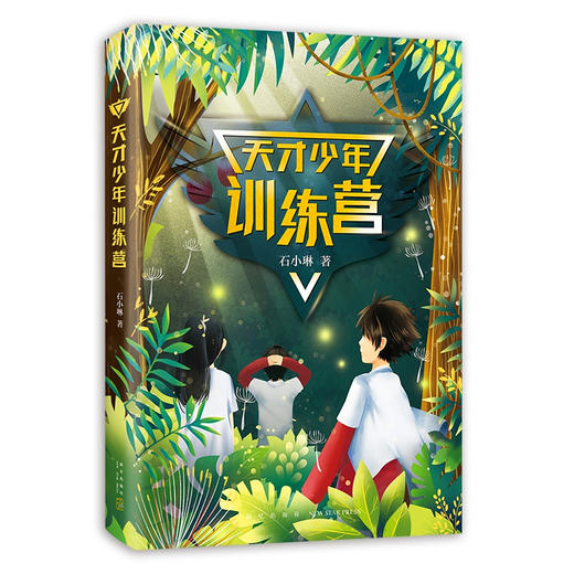 天才少年训练营 爱心树文学馆 石小琳著 新星出版社 商品图0
