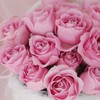 呼啸鲜花团 | 品元 单头玫瑰 10枝/束 插花期5-7天 商品缩略图0