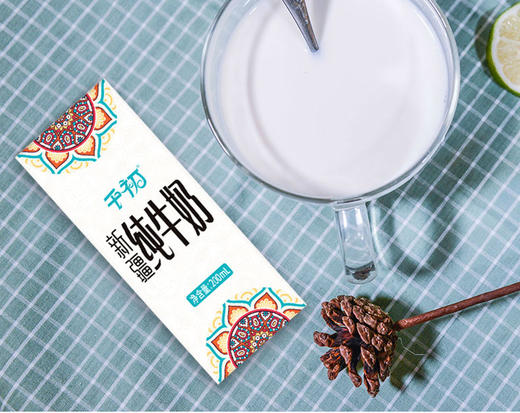 （永久作废）千初  新疆无添加纯牛奶（200ml*12盒） 商品图3