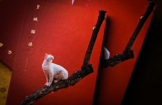 皇城猫语-分销 商品图2