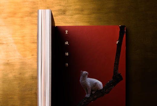 皇城猫语-分销 商品图3