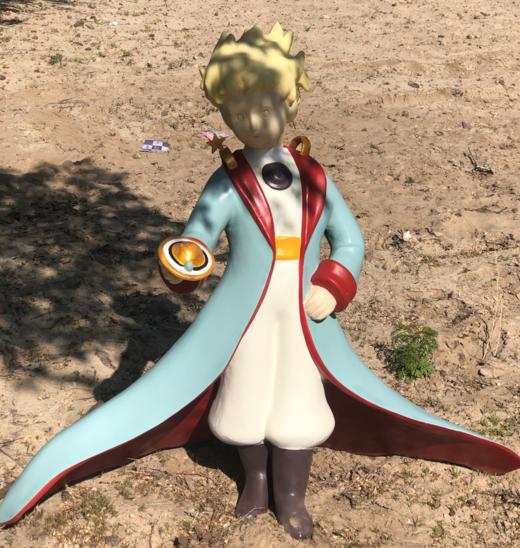 小王子2- 玫瑰星球  风铃玫瑰驯养服务 商品图3