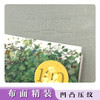 名著名译名绘版 秘密花园（精装全译插画版）7-10岁儿童读物 外国儿童文学经典名著 商品缩略图1