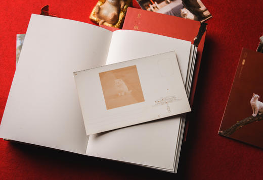 皇城猫语-分销 商品图4