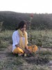 小王子2- 玫瑰星球  风铃玫瑰驯养服务 商品缩略图1