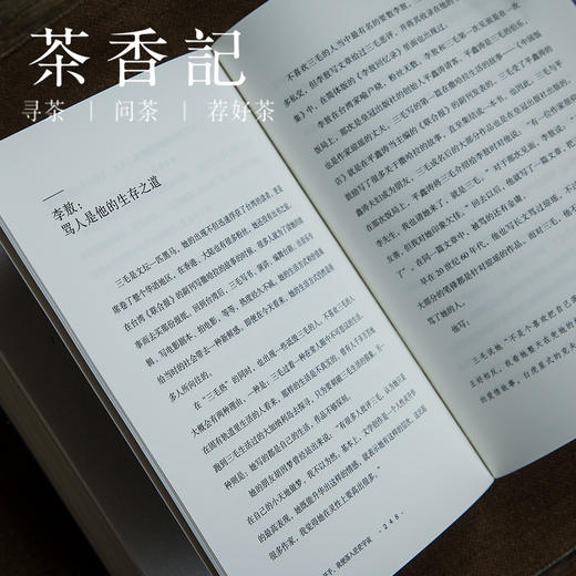 茶香记 《三毛传：你松开手，我便落入茫茫宇宙》 北方文艺出版社 程碧  名人传记 商品图4