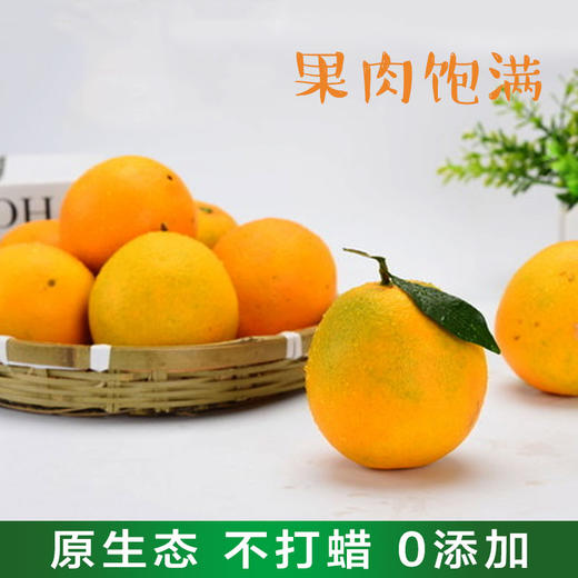 秭归夏橙——爆发橙能量 商品图4