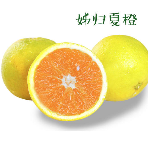 秭归夏橙——爆发橙能量 商品图0