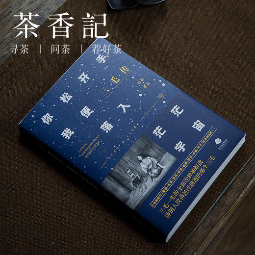 茶香记 《三毛传：你松开手，我便落入茫茫宇宙》 北方文艺出版社 程碧  名人传记 商品图0