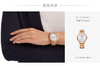 现货特价仅1只 Swarovski 施华洛世奇 女士小钻圈大表盘钢带 商品缩略图4