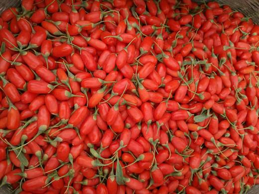 宁夏农科院 中宁鲜枸杞 500g  天然鲜果构杞子 免洗 顺丰包邮 商品图3