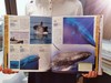 DK海洋大百科 神秘探索海洋世界 DK权威一场海底视觉盛宴 商品缩略图3