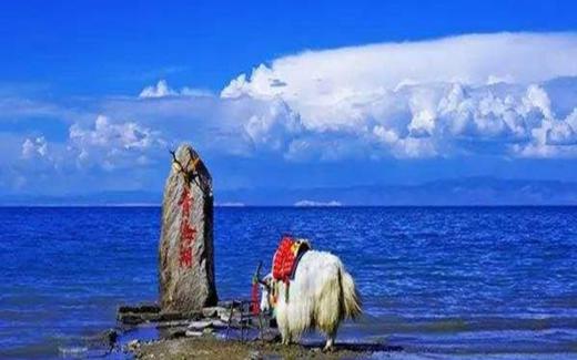 青海湖 商品图0