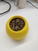 盆栽 商品缩略图0