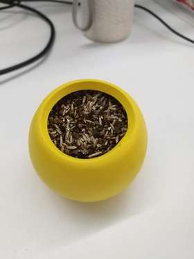 盆栽