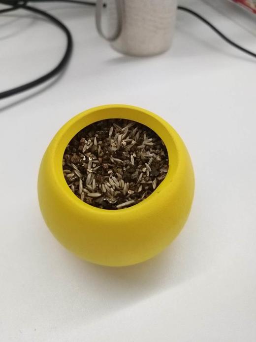 盆栽 商品图0