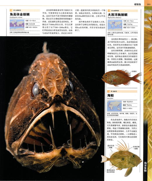 DK海洋大百科 神秘探索海洋世界 DK权威一场海底视觉盛宴 商品图9