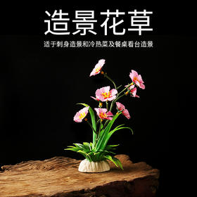 造景花草系列【03款】，适于刺身造景，冷热菜及餐桌看台造景。