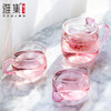 雅集 泡茶壶玻璃过滤家用玻璃女茶壶花茶壶耐高温办公简易茶具套装 商品缩略图2