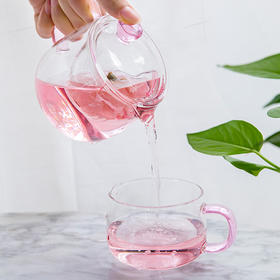 雅集 泡茶壶玻璃过滤家用玻璃女茶壶花茶壶耐高温办公简易茶具套装