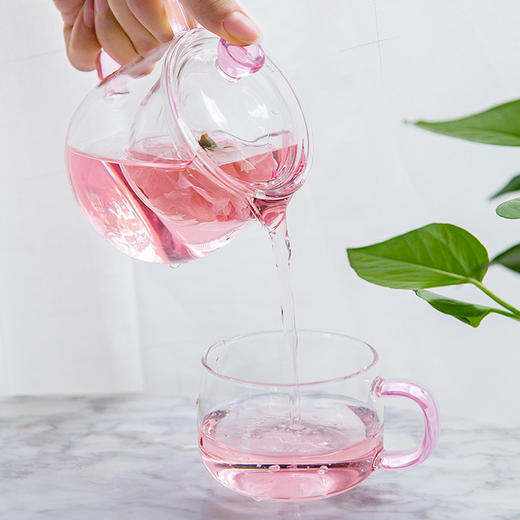 雅集 泡茶壶玻璃过滤家用玻璃女茶壶花茶壶耐高温办公简易茶具套装 商品图0