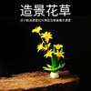 造景花草系列【02款】，适于刺身造景，冷热菜及餐桌看台造景。 商品缩略图0