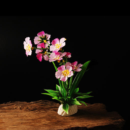 造景花草系列【03款】，适于刺身造景，冷热菜及餐桌看台造景。 商品图6