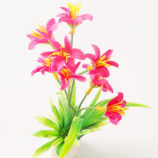 造景花草系列【02款】，适于刺身造景，冷热菜及餐桌看台造景。 商品图5