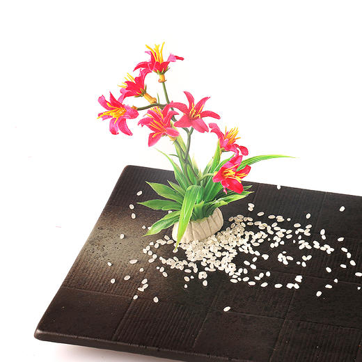 造景花草系列【02款】，适于刺身造景，冷热菜及餐桌看台造景。 商品图4