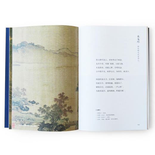 诗画共读 东坡词选 重回浪漫的古典中国 山水宋画版 赵辉 著 古诗词 诗画 中信出版社图书 正版书籍 商品图4