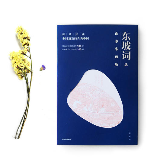 诗画共读 东坡词选山水宋画版  文学 商品图0