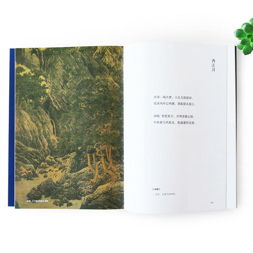 诗画共读 东坡词选 重回浪漫的古典中国 山水宋画版 赵辉 著 古诗词 诗画 中信出版社图书 正版书籍 商品图3