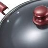 德世朗DESLON  乐炫精铁不粘炒锅 精铸铁离子 玻璃锅盖 30cm  DFS-C106A 商品缩略图1