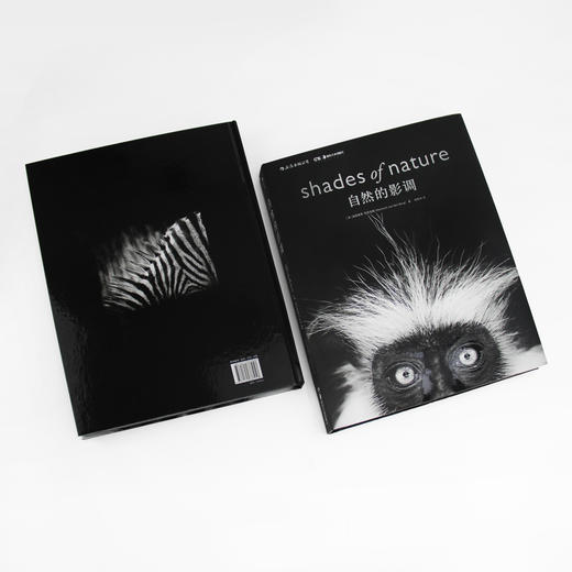 自然的影调   动物摄影大师范登伯格突破摄影界限之作-分销 商品图1
